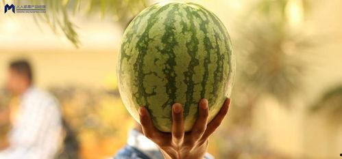 2021娱乐圈吃瓜,瓜田李下，明星们的年度“瓜”事盘点